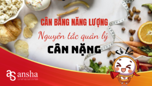 can-bang-nang-luong-nguyen-tac-can-bang-nang-luong