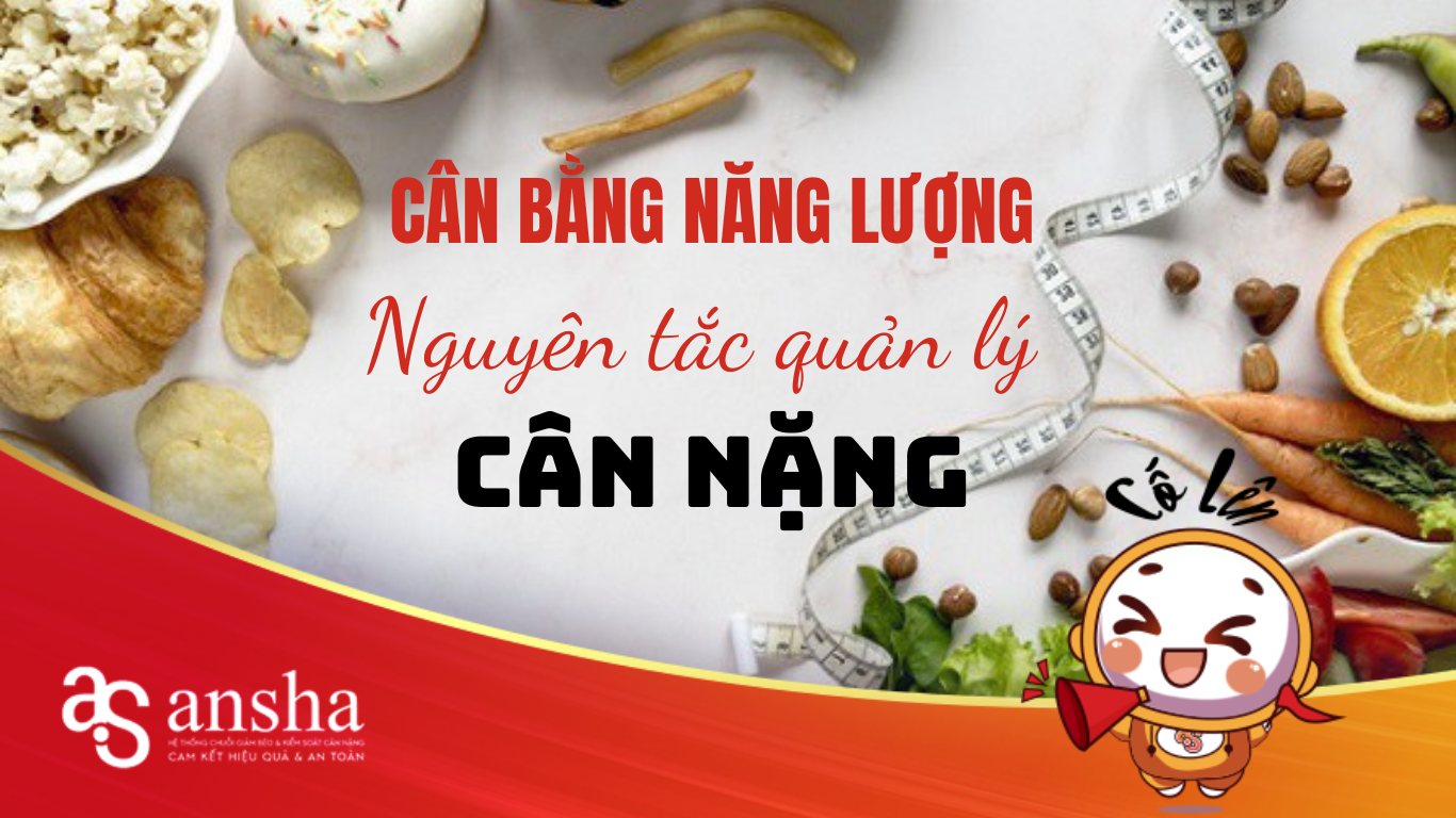 can-bang-nang-luong-nguyen-tac-quan-ly-can-nang