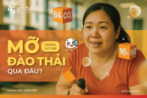 Mỡ đào thải qua đâu?