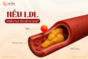 Nếu cơ thể thiếu hụt Cholesterol xấu thì sẽ ra sao?